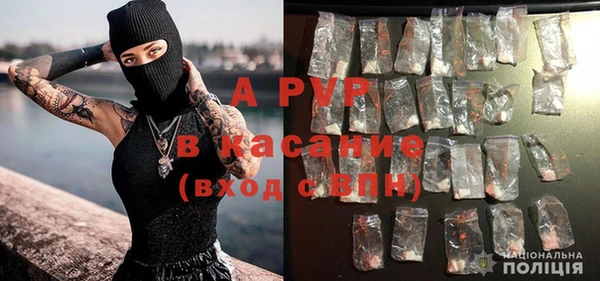 PSILOCYBIN Новодвинск