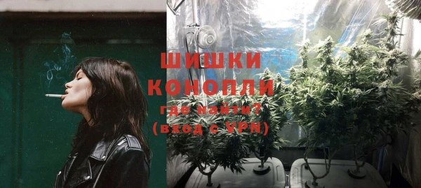 мдпв Новозыбков