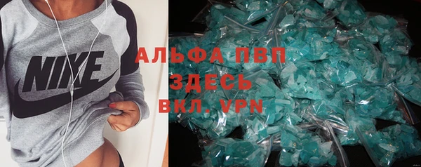 мдпв Новозыбков