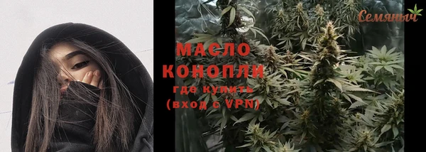 мдпв Новозыбков
