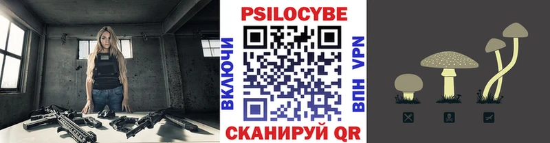 магазин  наркотиков  Торжок  Псилоцибиновые грибы Psilocybine cubensis 