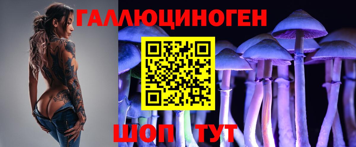 Галлюциногенные грибы Psilocybe  купить закладку  Псилоцибиновые грибы ЛСД  Торжок  Вход с VPN 